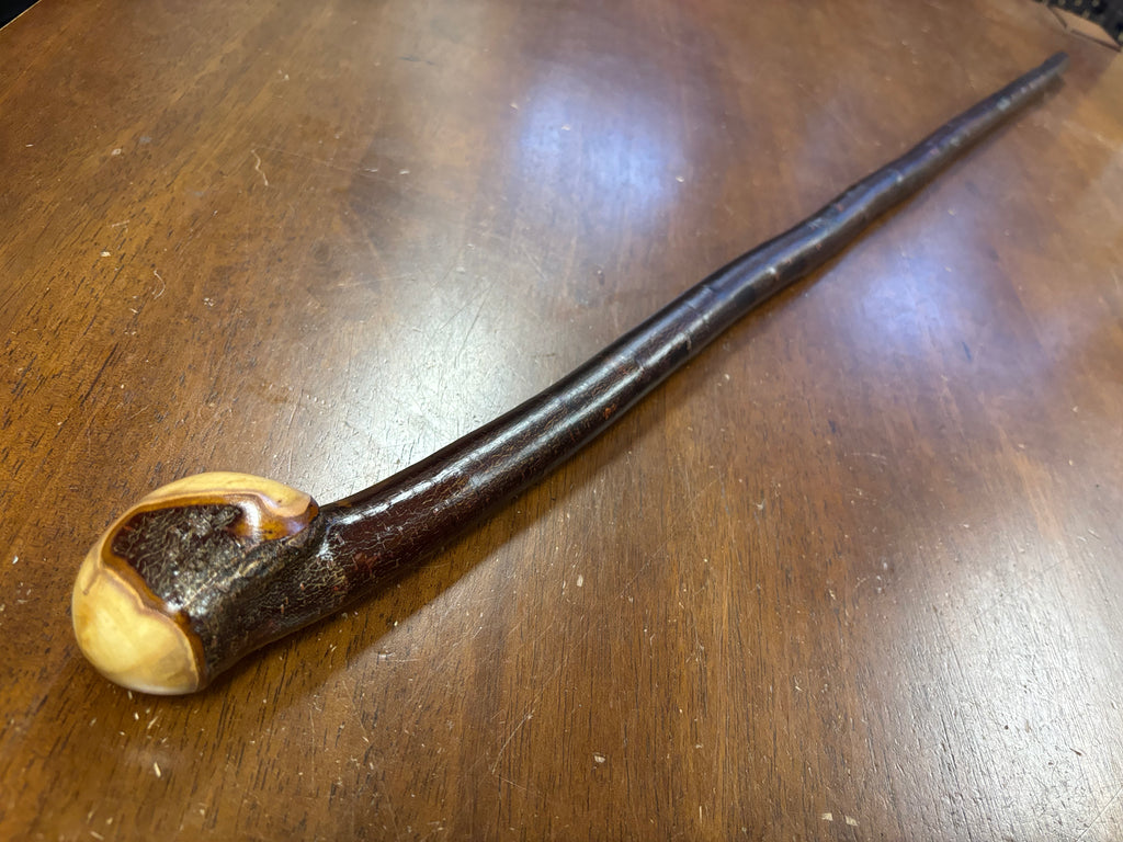 Blackthorn Walking Stick 39 inch - Handmade in Ireland