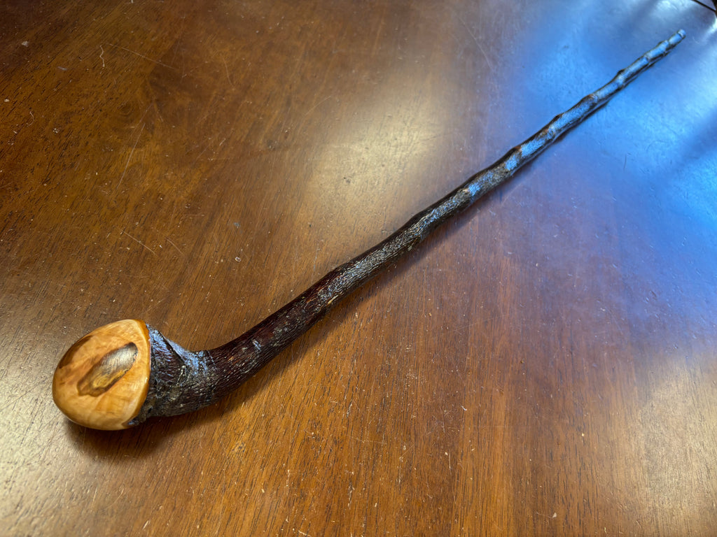 Blackthorn Walking Stick 39 inch - Handmade in Ireland