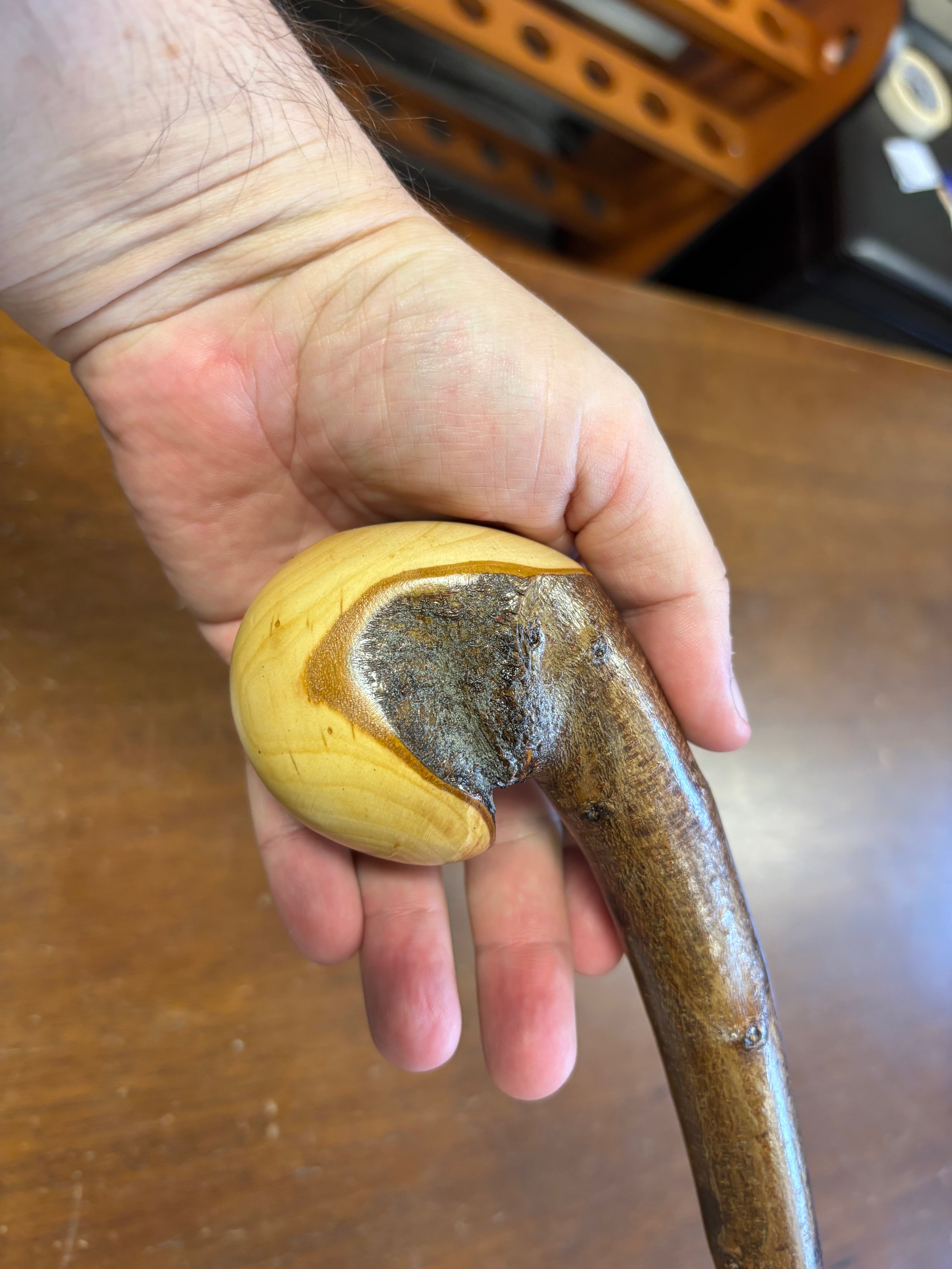 Blackthorn Walking Stick 39 inch - Handmade in Ireland