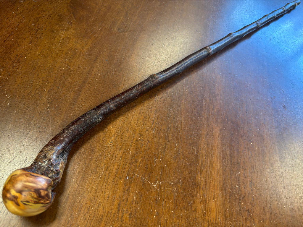 Blackthorn Walking Stick 37 1/2 inch - Handmade in Ireland
