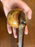 Blackthorn Shillelagh -18 inch - Handmade in Ireland