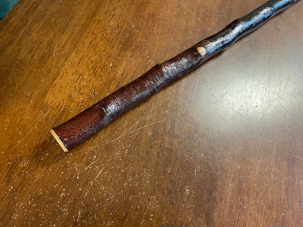 Blackthorn Hiking Stick - 54 inch - Handmade in Ireland