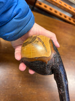 Blackthorn Shillelagh - 20 inch - Handmade in Ireland