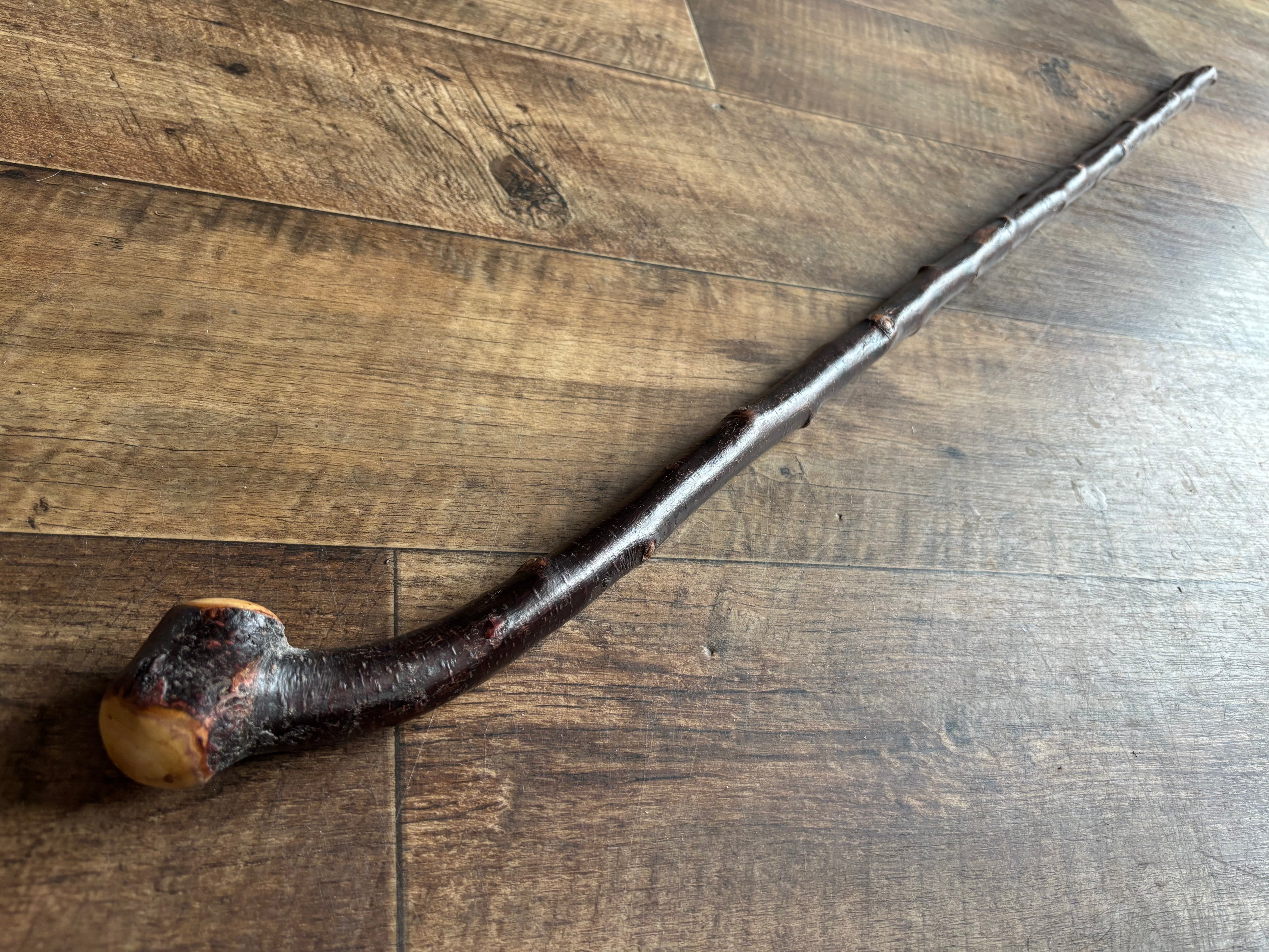 Blackthorn Walking Stick 38 inch - Handmade in Ireland