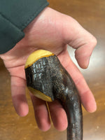 Blackthorn Walking Stick 38 1/4 inch - Handmade in Ireland