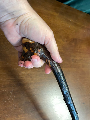 Blackthorn Walking Stick 34 inch - Handmade in Ireland