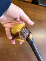 Blackthorn Shillelagh - 19 3/4 inch - Handmade in Ireland
