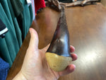 Irish Chestnut Walking Stick - Extra Large