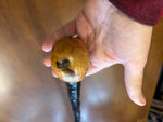 Blackthorn Walking Stick 39 inch - Handmade in Ireland