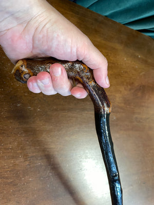 Blackthorn Walking Stick 31 inch - Handmade in Ireland