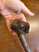Blackthorn Shillelagh - 19 inch - Handmade in Ireland