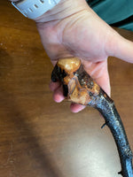Blackthorn Walking Stick 35 1/2 inch - Handmade in Ireland