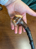 Blackthorn Walking Stick 33 3/4 inch - Handmade in Ireland
