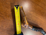 Blackthorn Walking Stick 33 1/2 inch - Handmade in Ireland
