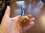 Blackthorn Walking Stick 32 inch - Handmade in Ireland