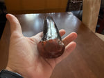 Blackthorn Walking Stick 39 inch - Handmade in Ireland