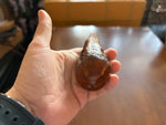 Blackthorn Walking Stick 38 inch - Handmade in Ireland