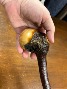 Blackthorn Walking Stick 38 1/4 inch - Handmade in Ireland