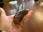 Blackthorn Walking Stick 37 inch - Handmade in Ireland