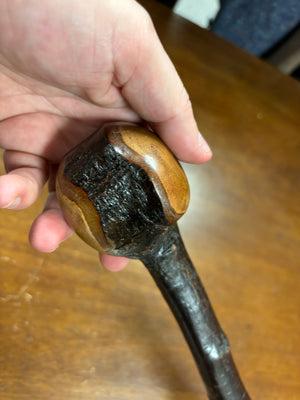 Blackthorn Shillelagh - 19 3/4 inch - Handmade in Ireland