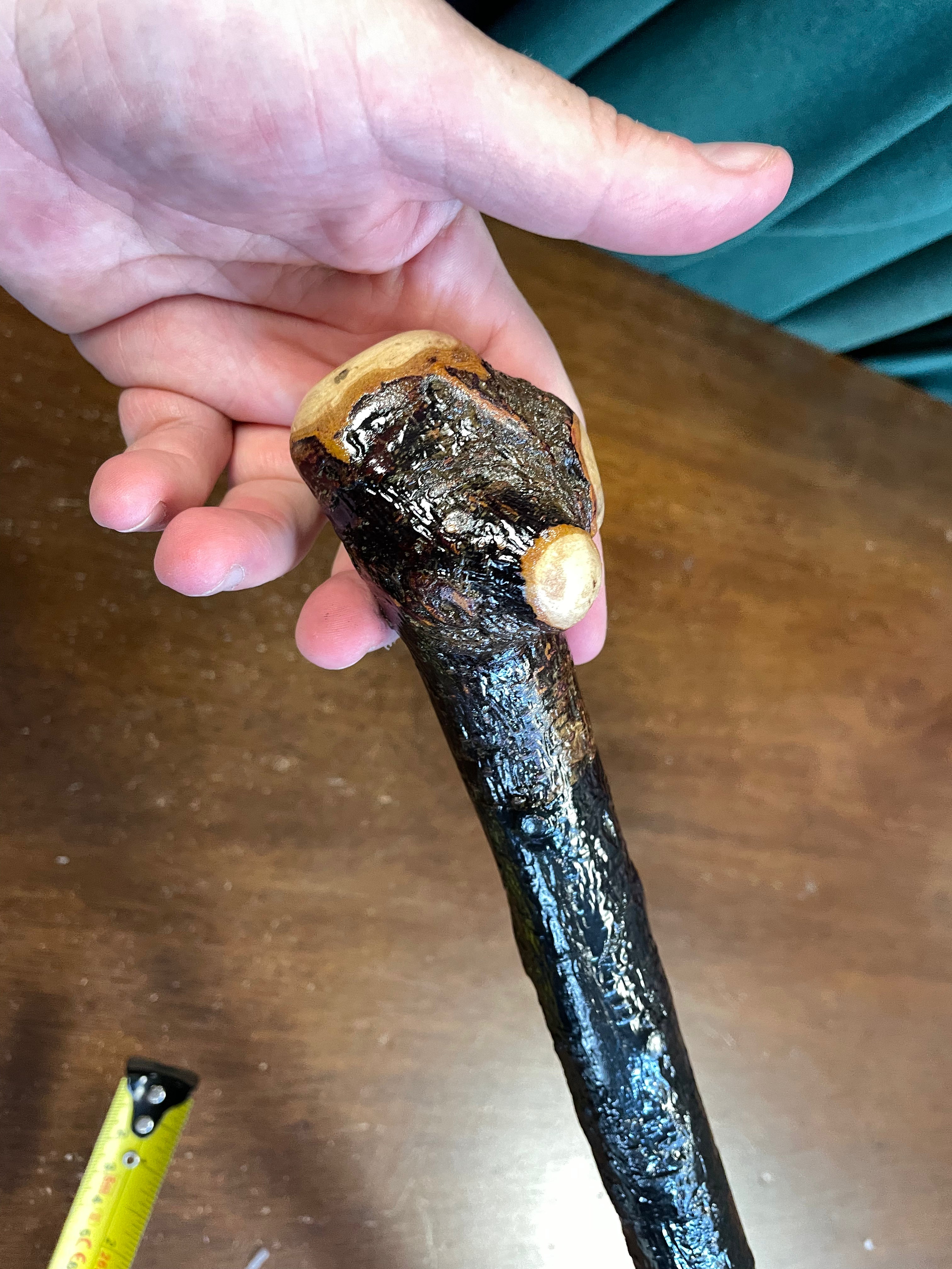 Blackthorn Walking Stick 40 inch - Handmade in Ireland