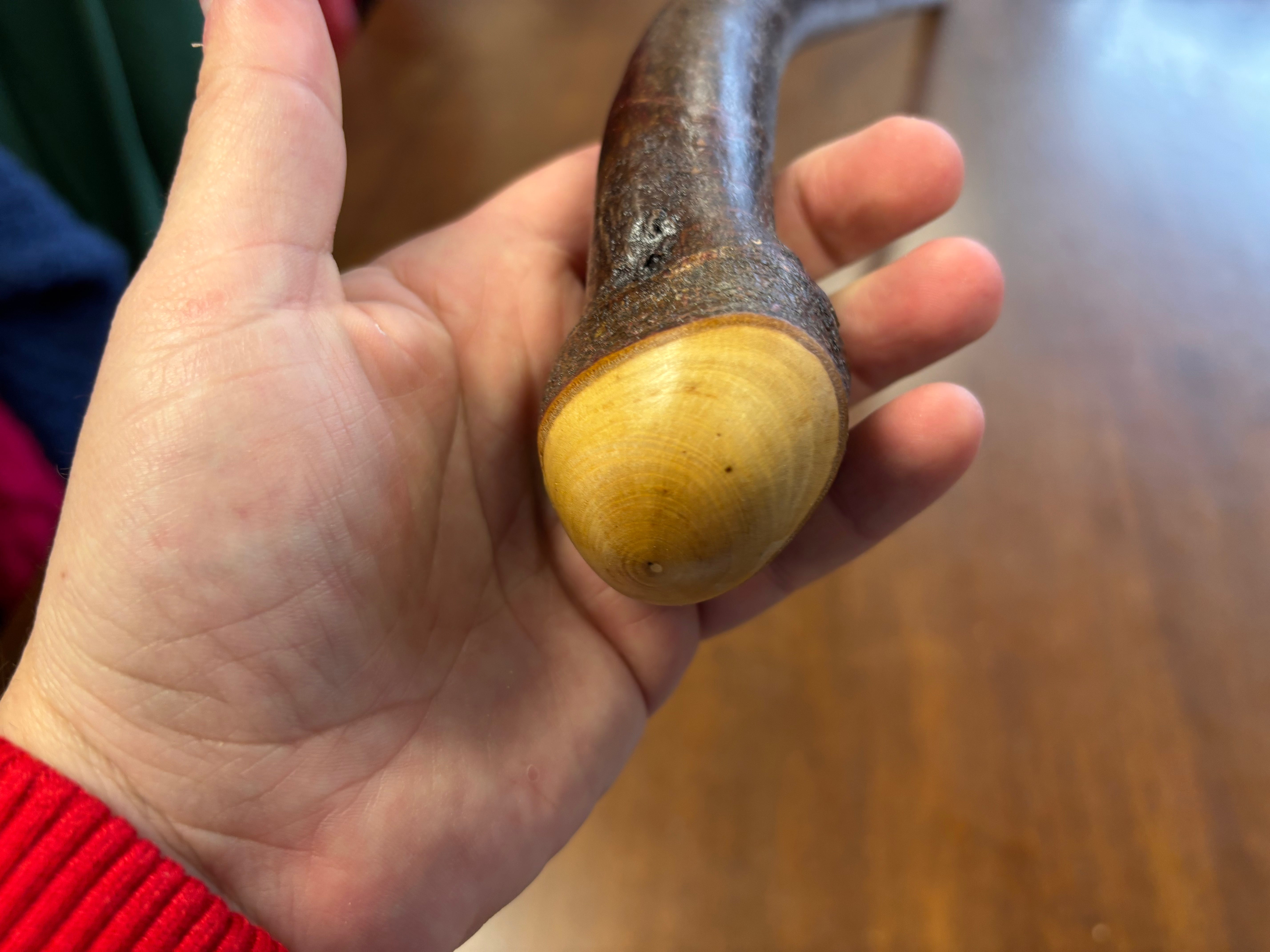 Blackthorn Walking Stick 38 inch - Handmade in Ireland