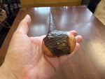 Blackthorn Walking Stick 37 1/4 inch - Handmade in Ireland