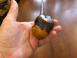 Blackthorn Walking Stick 37 1/2 inch - Handmade in Ireland