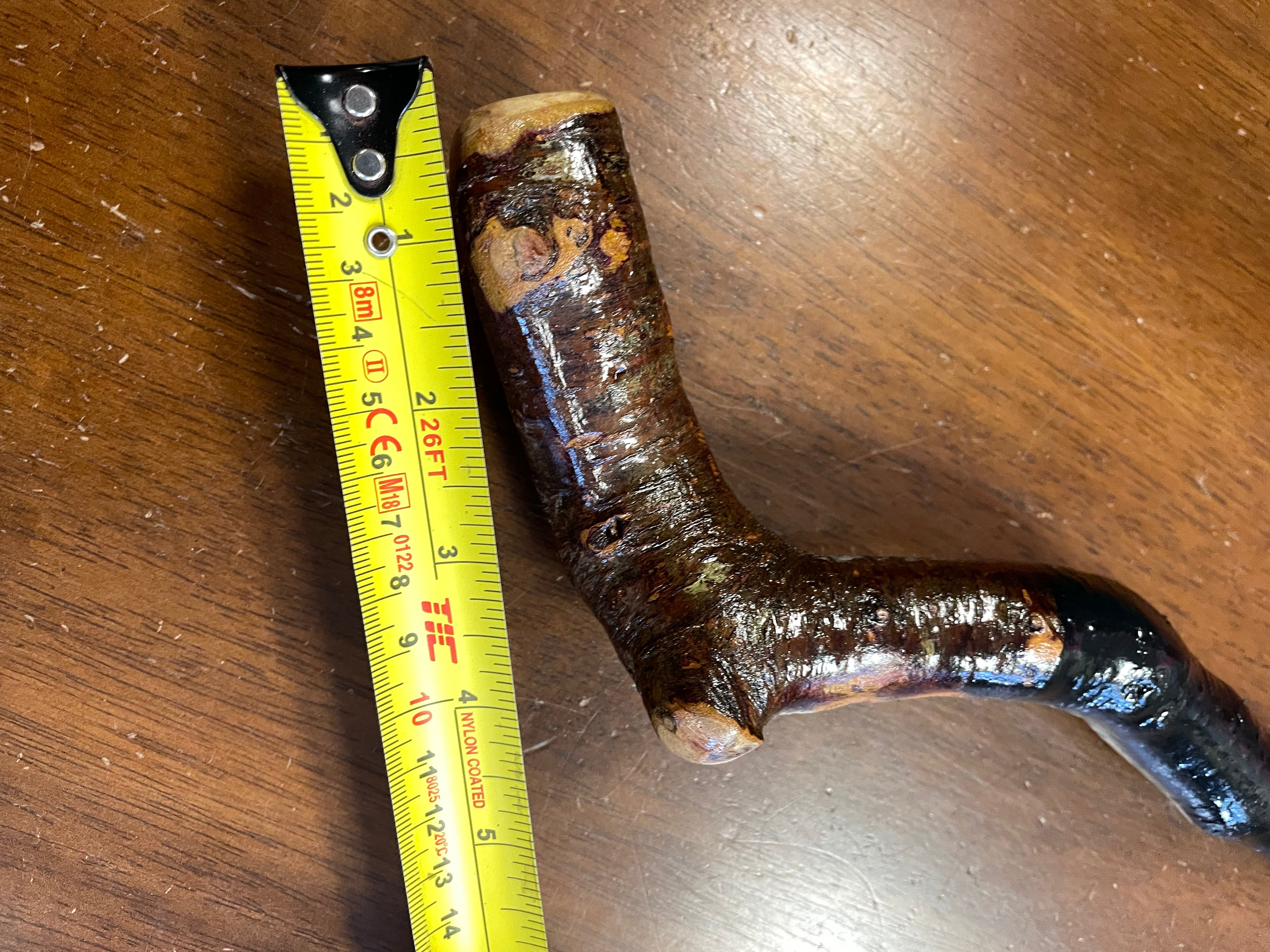 Blackthorn Walking Stick 34 inch  - Handmade in Ireland
