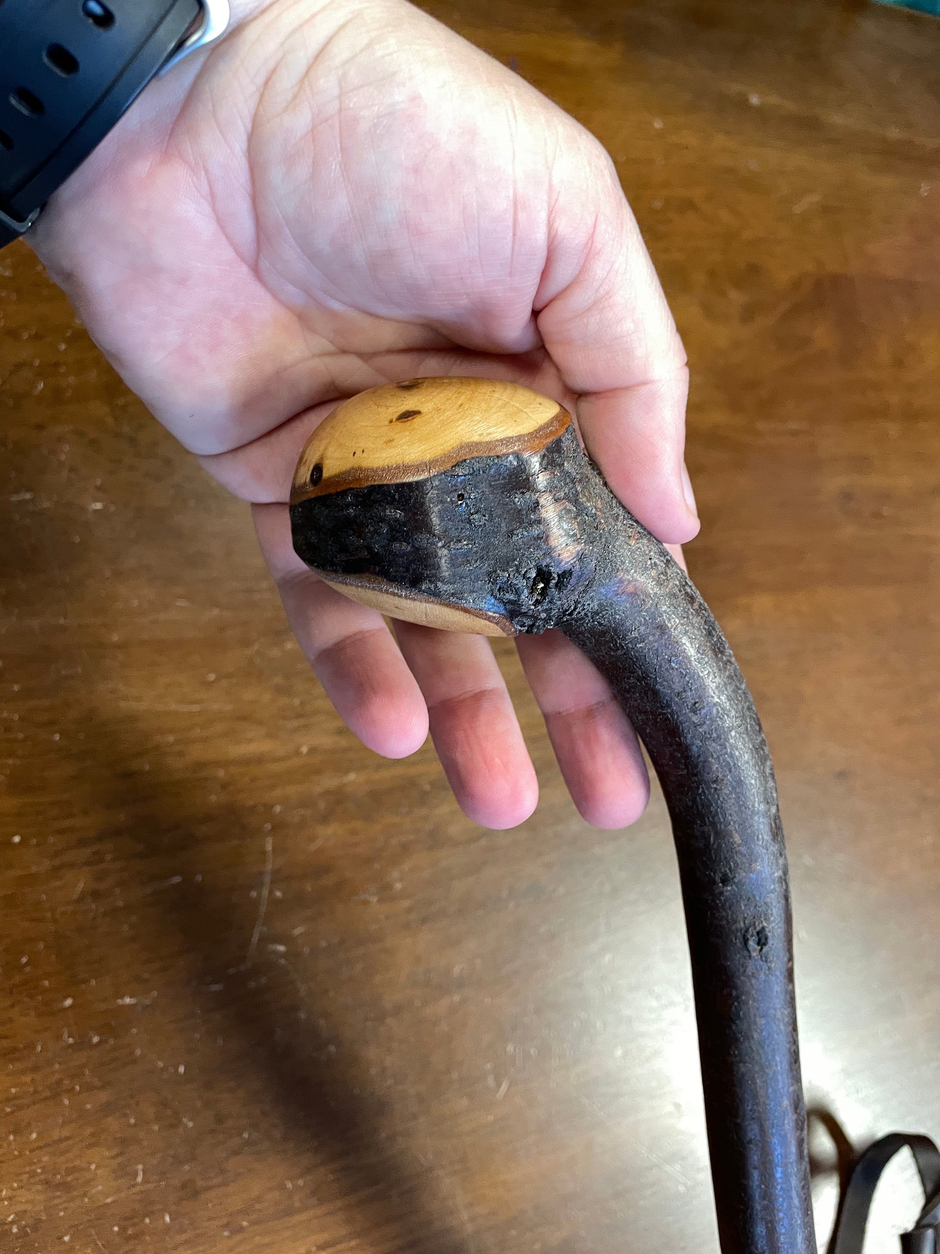 Blackthorn Shillelagh -19 inch - Handmade in Ireland