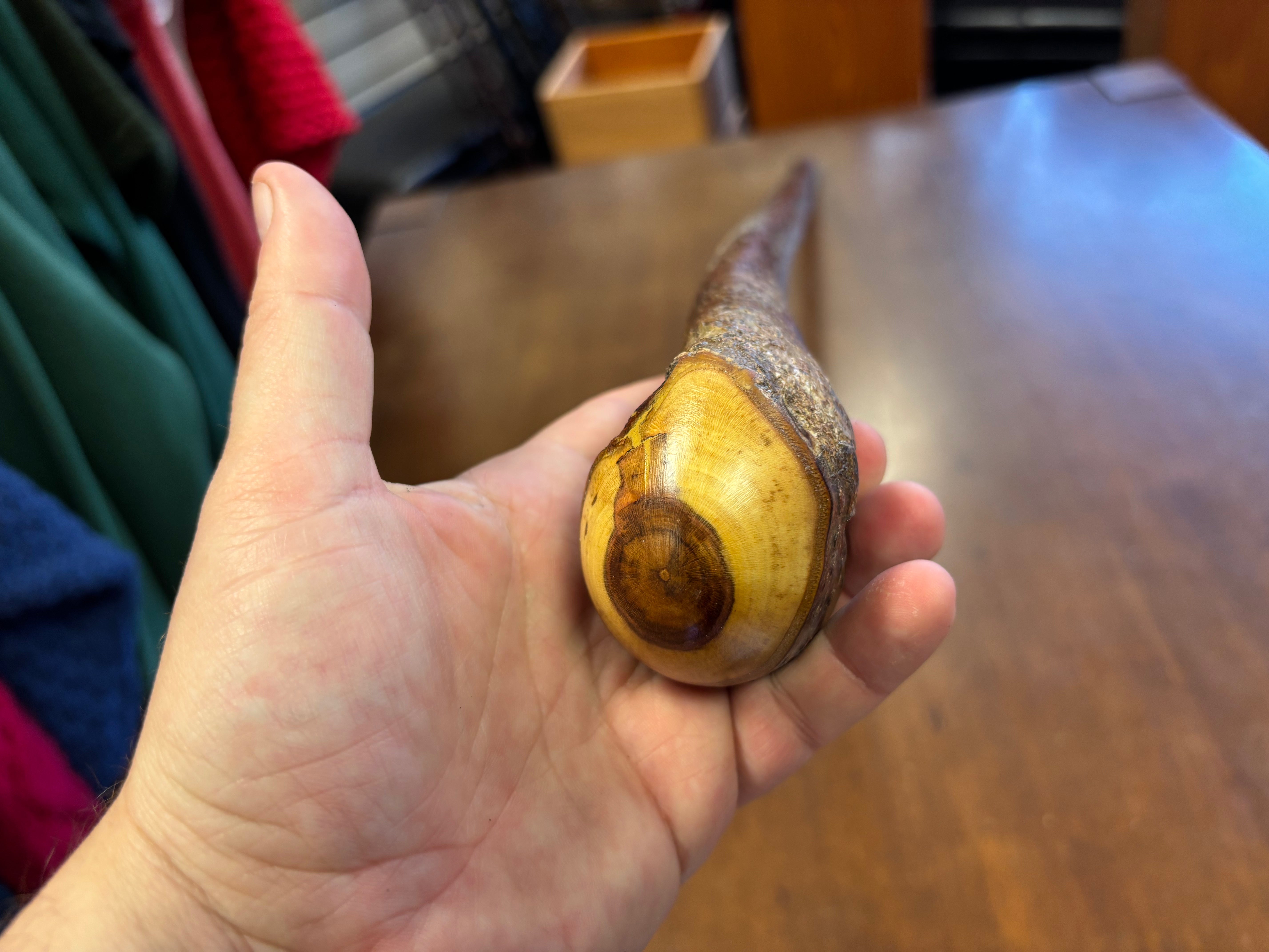 Blackthorn Walking Stick 39 inch - Handmade in Ireland