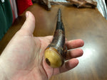 Blackthorn Walking Stick 37 1/2 inch  - Handmade in Ireland