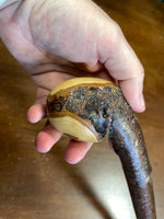 Blackthorn Shillelagh -19 1/2 inch - Handmade in Ireland
