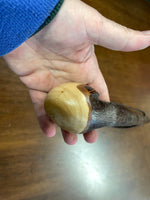 Blackthorn Shillelagh -19 1/2 inch - Handmade in Ireland