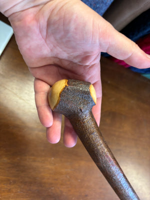 Blackthorn Walking Stick 38 1/2 inch - Handmade in Ireland
