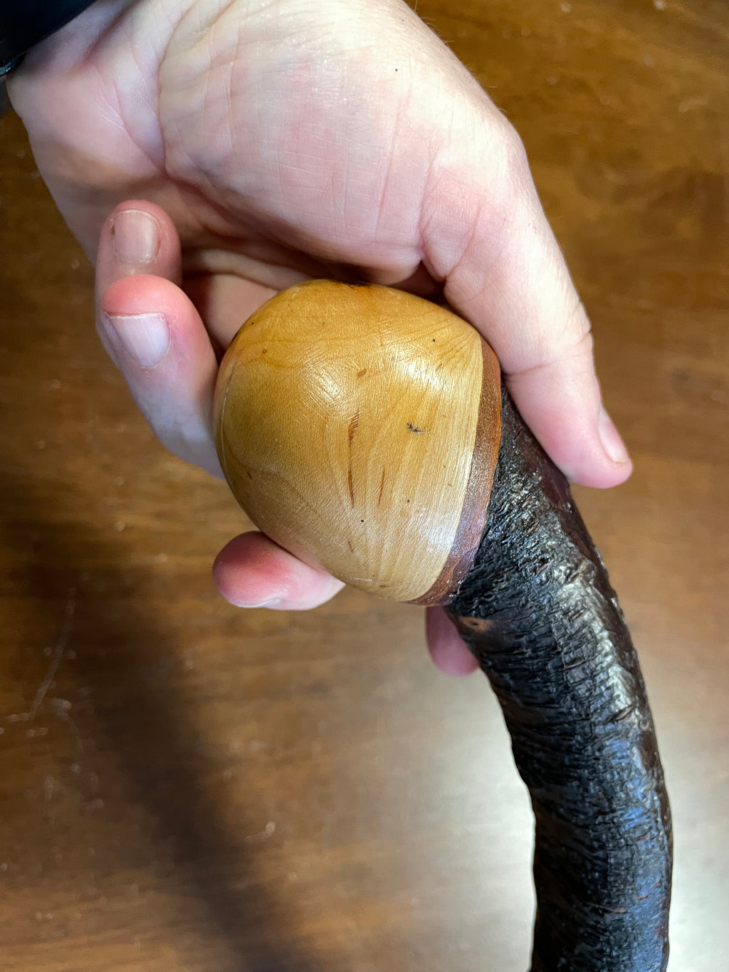 Blackthorn Shillelagh -17 inch - Handmade in Ireland