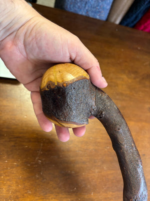 Blackthorn Shillelagh - 20 inch - Handmade in Ireland