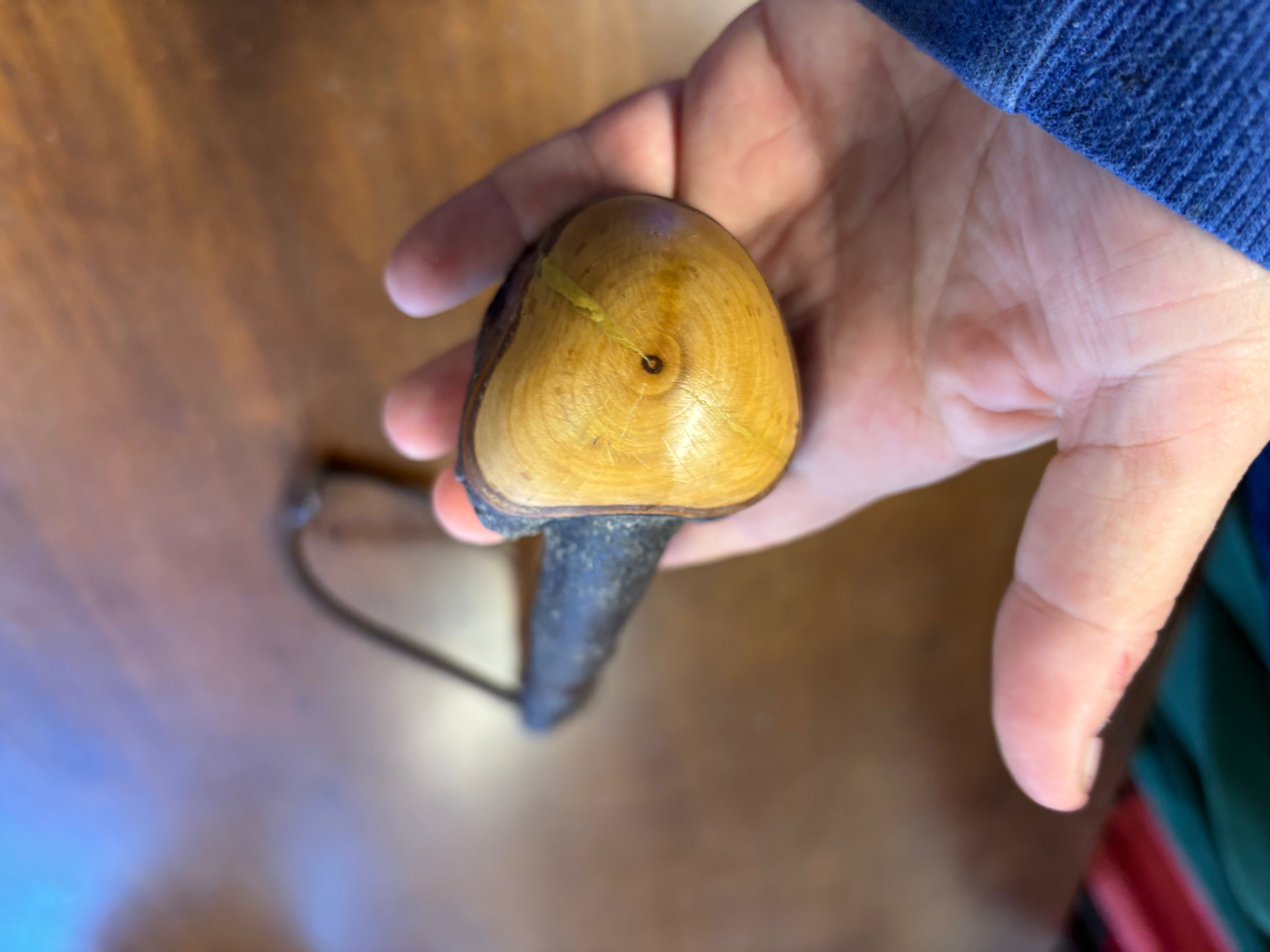 Blackthorn Shillelagh - 19 1/2 inch - Handmade in Ireland