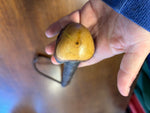 Blackthorn Shillelagh - 19 1/2 inch - Handmade in Ireland