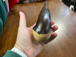Irish Chestnut Walking Stick - Extra Large