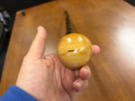 Blackthorn Walking Stick 32 1/2 inch - Handmade in Ireland