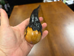 Blackthorn Walking Stick 39 inch - Handmade in Ireland