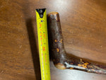 Blackthorn Walking Stick 31 1/2 inch  - Handmade in Irelan