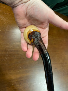 Blackthorn Walking Stick 39 inch  - Handmade in Irelan