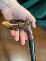 Blackthorn Walking Stick 37 inch  - Handmade in Ireland