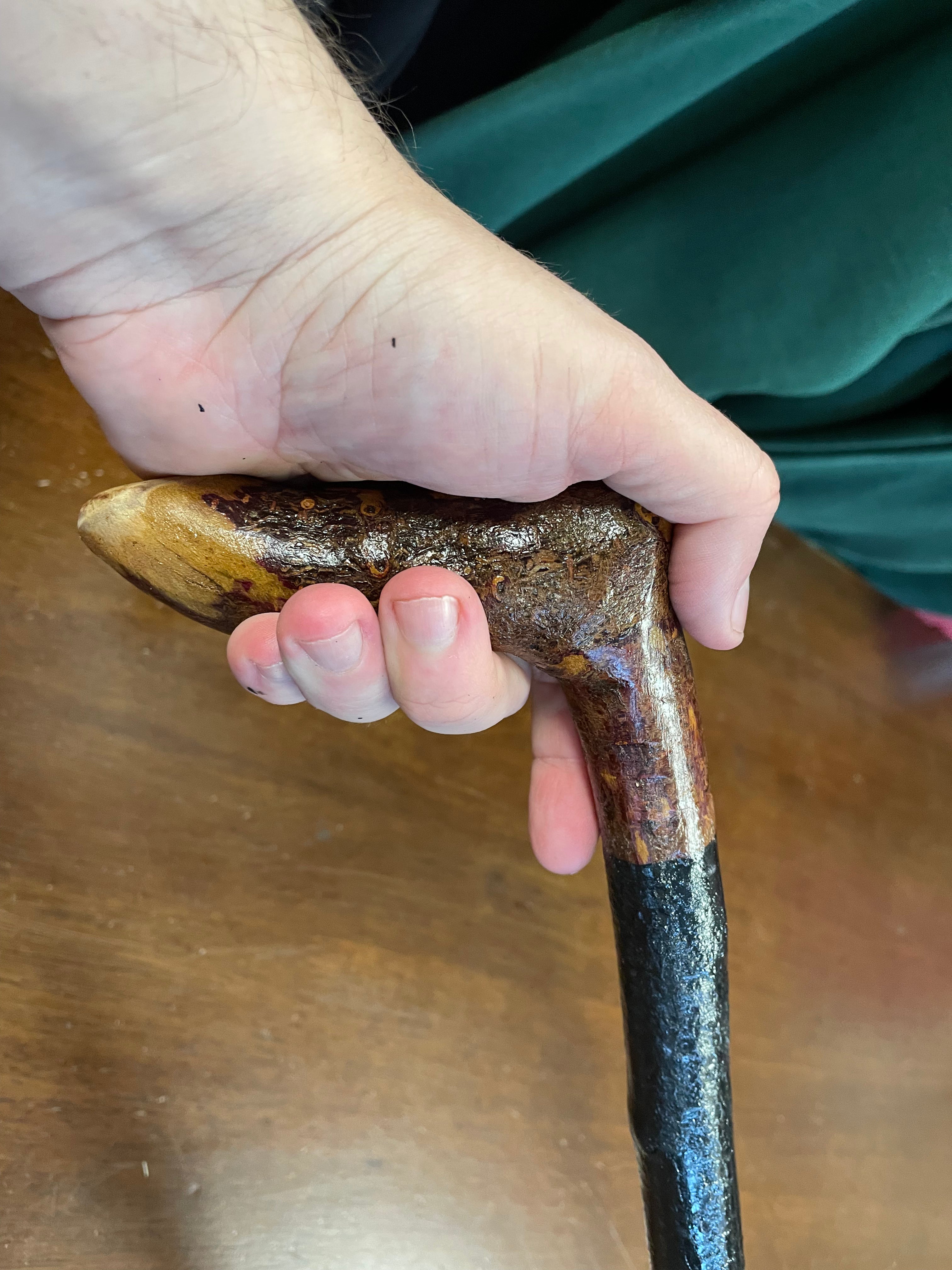 Blackthorn Walking Stick 37 inch  - Handmade in Ireland