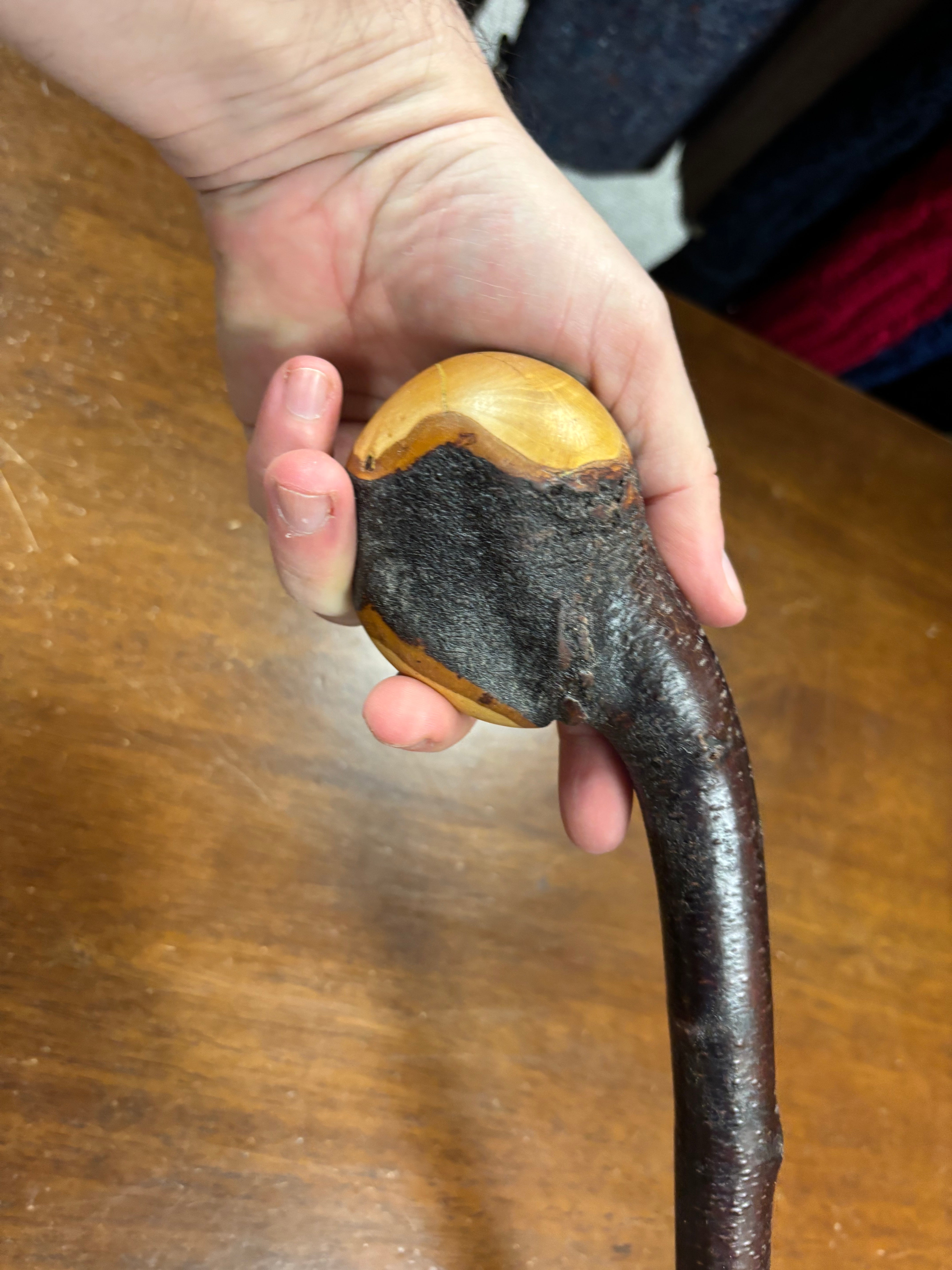 Blackthorn Shillelagh - 19 3/4 inch - Handmade in Ireland