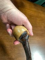Blackthorn Shillelagh -19 1/2 inch - Handmade in Ireland