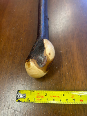 Blackthorn Walking Stick 37 inch - Handmade in Ireland