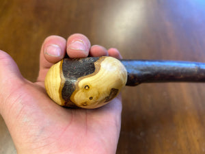 Blackthorn Walking Stick 39 1/2 inch - Handmade in Ireland